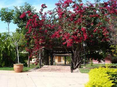 Hotel Fazenda Do Bertione Miranda Exteriör bild